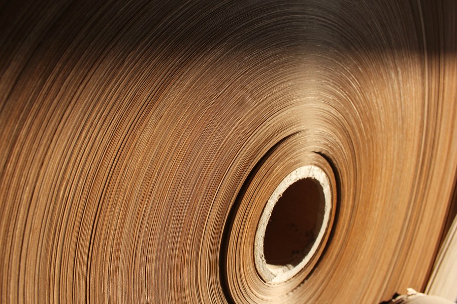 Irani (RANI3) Q4 2025: Resilient Results Amidst Seasonality